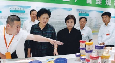 原中共中央政治局委員、國(guó)務(wù)院副總理劉延?xùn)|視察我公司